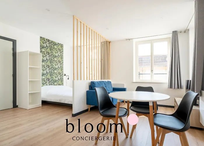 Le Cocon Place Du Marché Coeur De Nancy